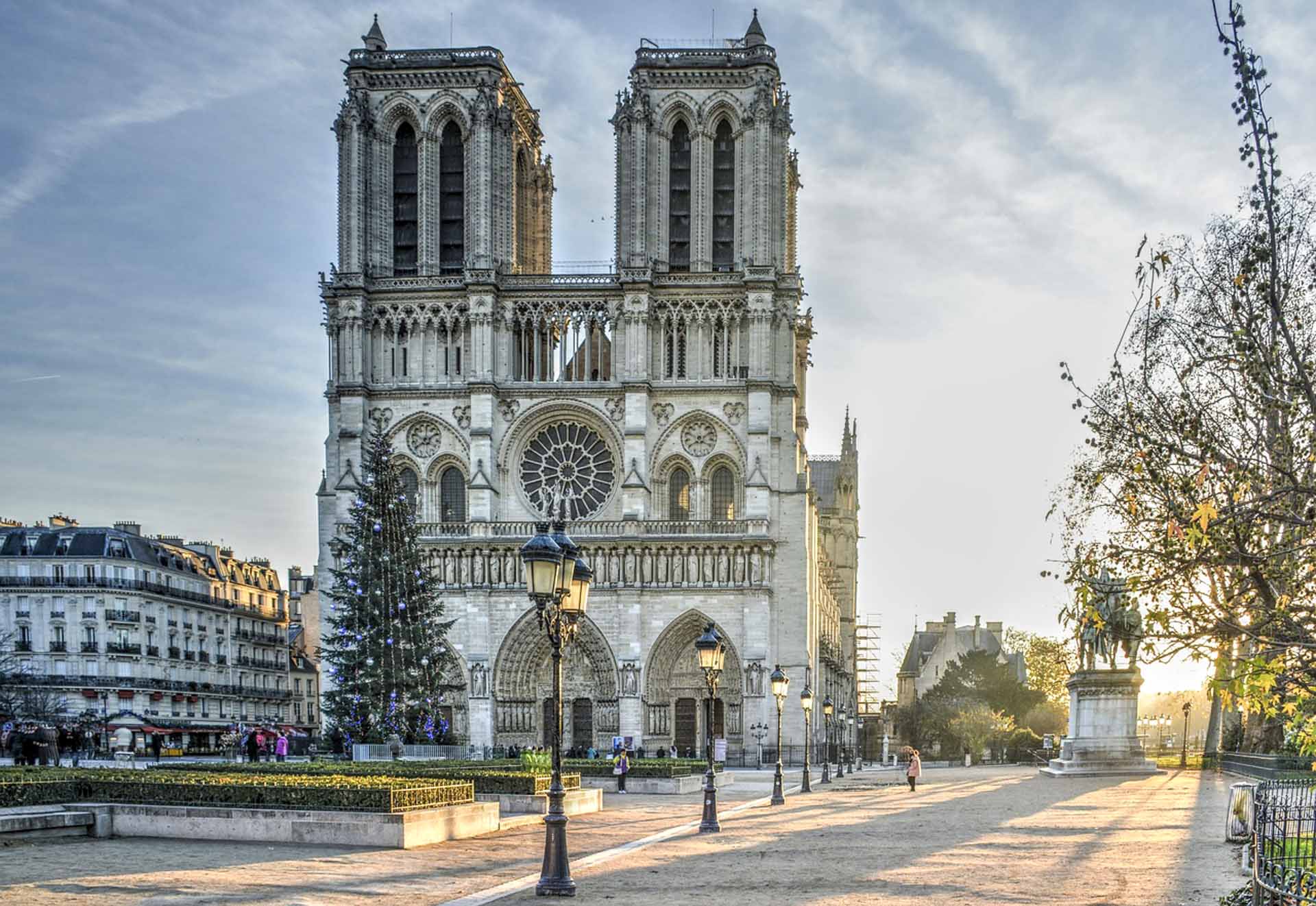 Katedra Notre Dame 